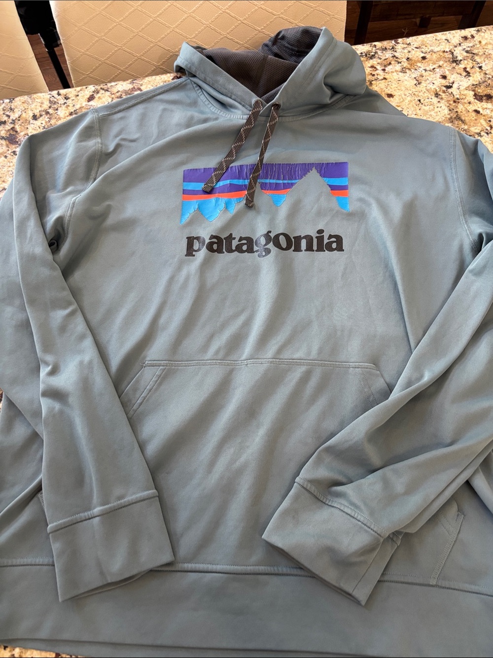Patagonia Men's Hooded Pullover Sweatshirt - Slate Blue with Multicolor Logo